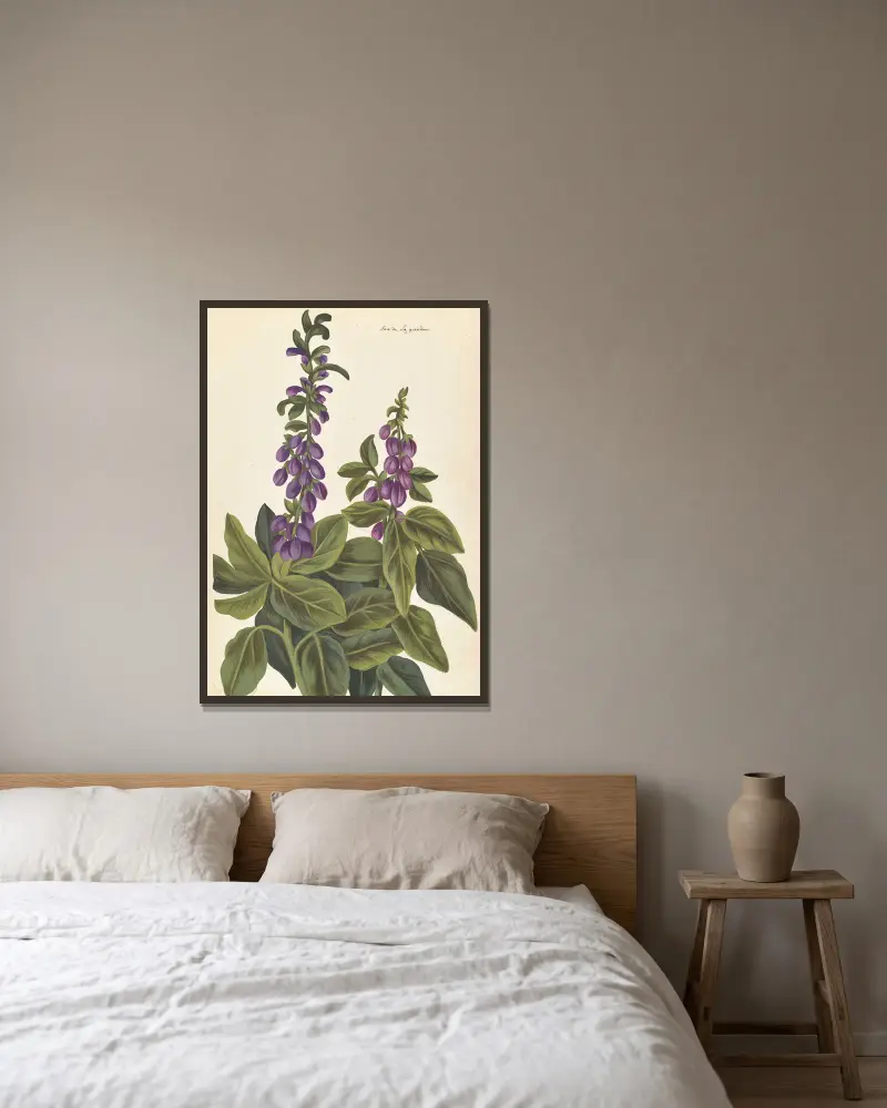 Främmande växter av Aubriet, plansch 80 av Claude Aubriet inramad på en vägg