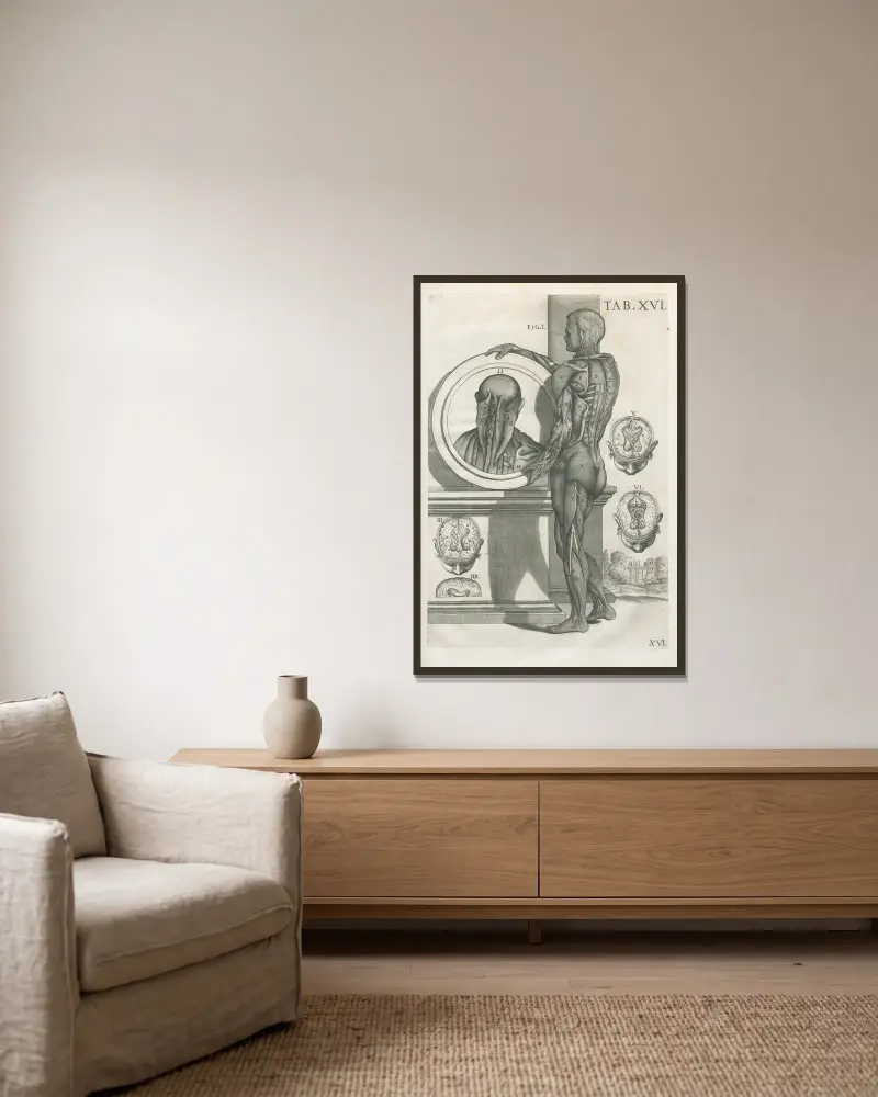 Anatomiska tavlor av den berömde målaren Pietro Berrettini från Cortona, plansch 16 av Pietro da Cortona inramad på en vägg