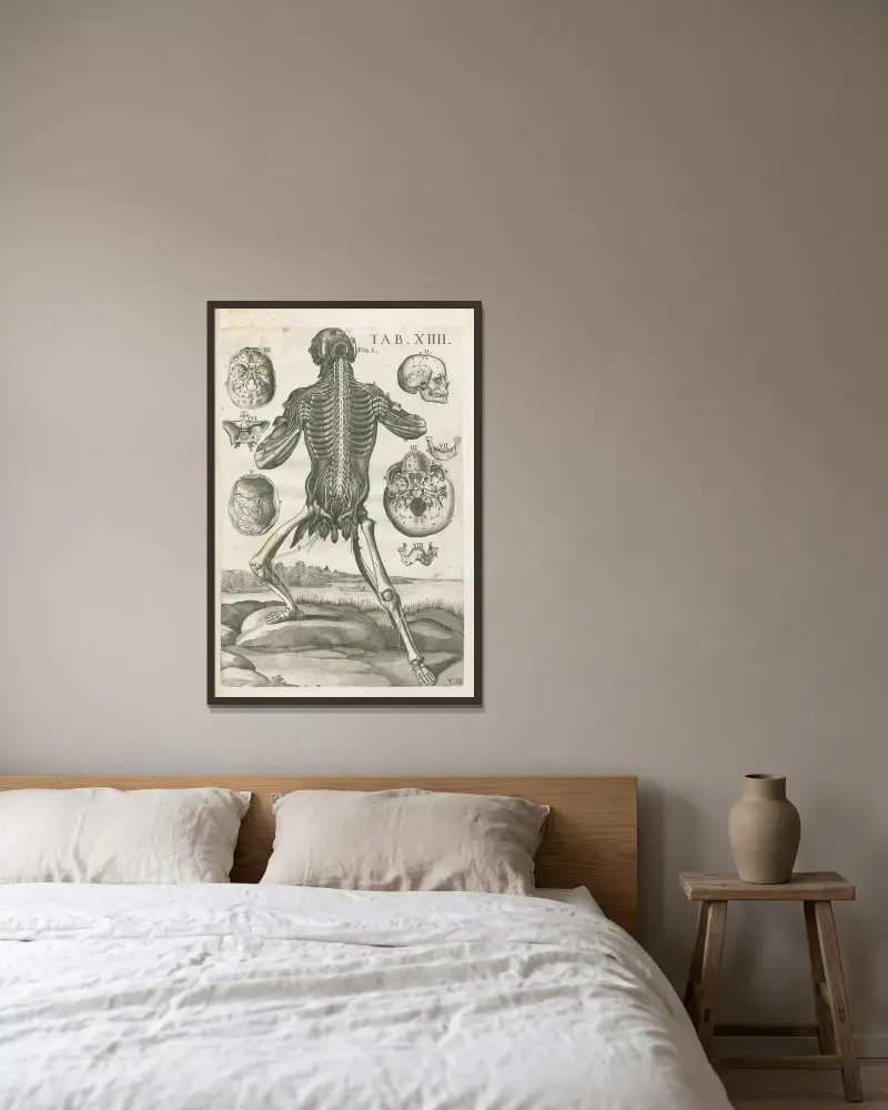 Anatomiska tavlor av den berömde målaren Pietro Berrettini från Cortona, plansch 14 av Pietro da Cortona inramad på en vägg
