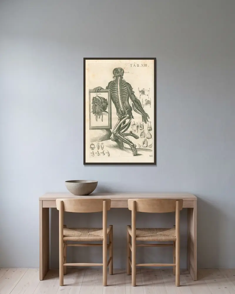 Anatomiska tavlor av den berömde målaren Pietro Berrettini från Cortona, plansch 13 av Pietro da Cortona inramad på en vägg