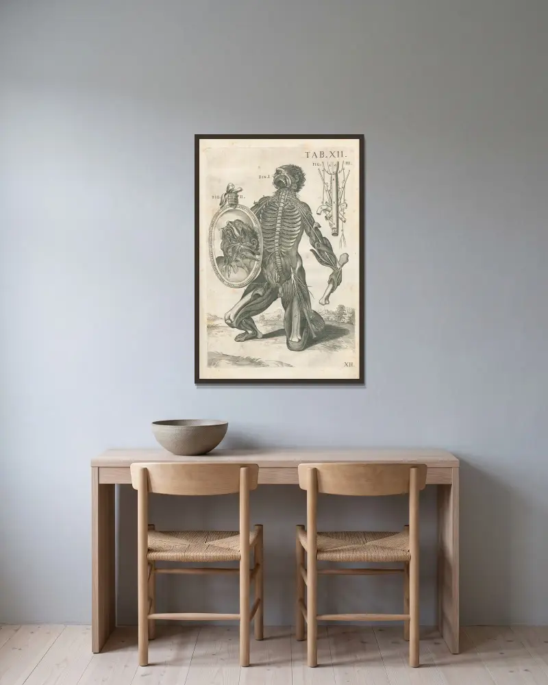 Anatomiska tavlor av den berömde målaren Pietro Berrettini från Cortona, plansch 12 av Pietro da Cortona inramad på en vägg