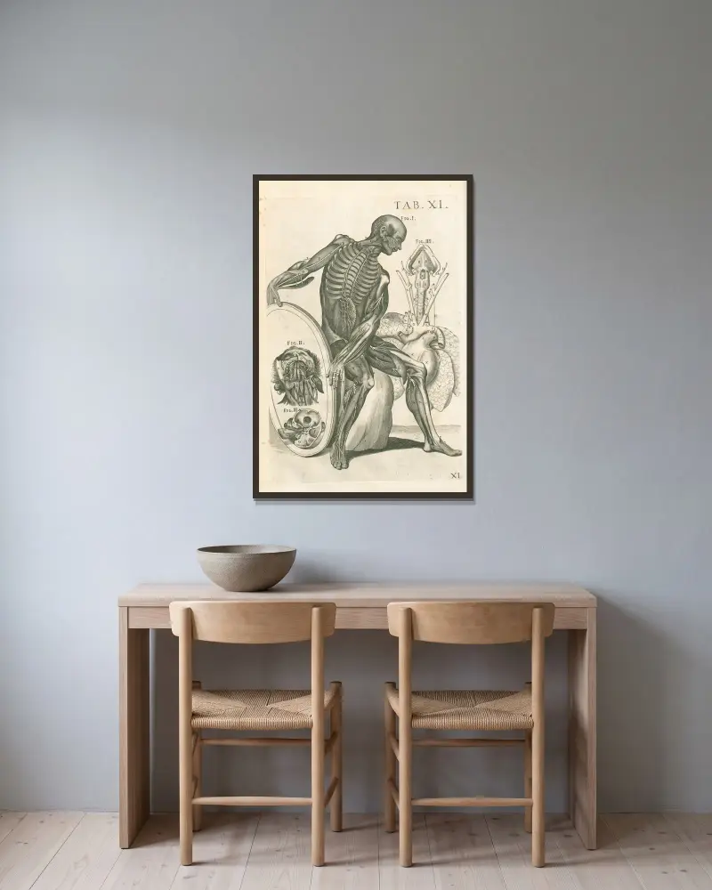 Anatomiska tavlor av den berömde målaren Pietro Berrettini från Cortona, plansch 11 av Pietro da Cortona inramad på en vägg