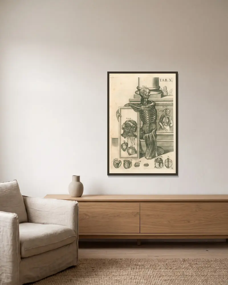 Anatomiska tavlor av den berömde målaren Pietro Berrettini från Cortona, plansch 10 av Pietro da Cortona inramad på en vägg