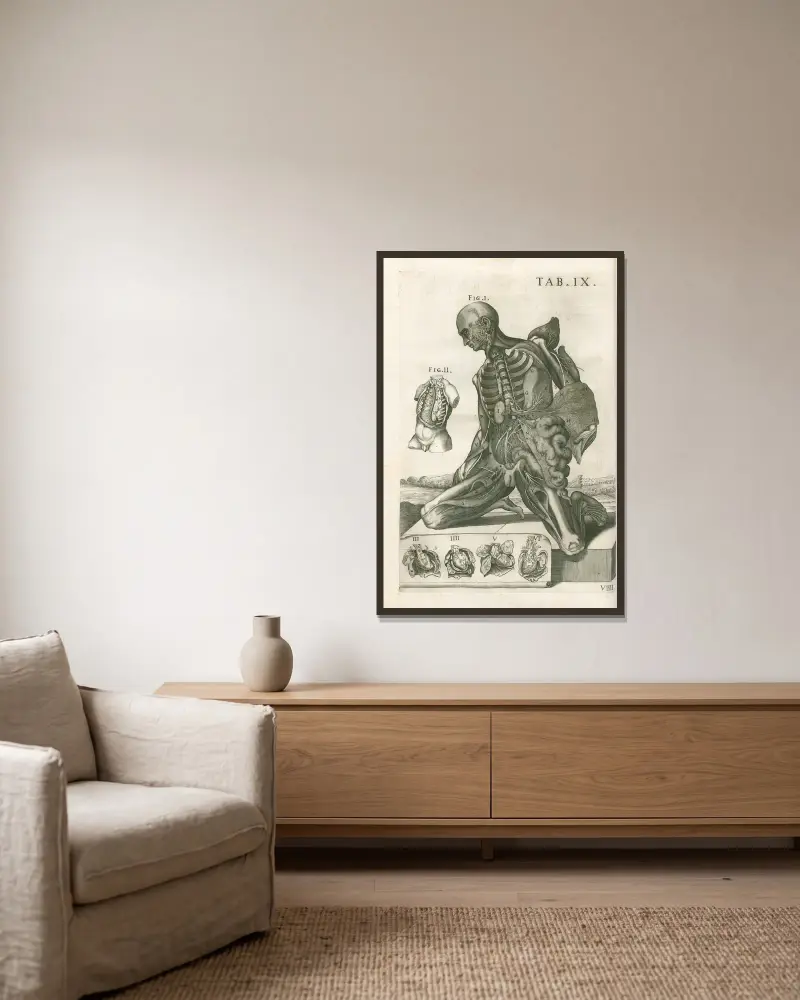 Anatomiska tavlor av den berömde målaren Pietro Berrettini från Cortona, plansch 9 av Pietro da Cortona inramad på en vägg