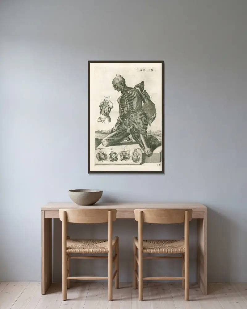 Anatomiska tavlor av den berömde målaren Pietro Berrettini från Cortona, plansch 9 av Pietro da Cortona inramad på en vägg
