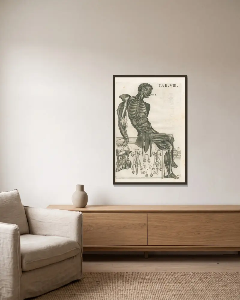 Anatomiska tavlor av den berömde målaren Pietro Berrettini från Cortona, plansch 8 av Pietro da Cortona inramad på en vägg
