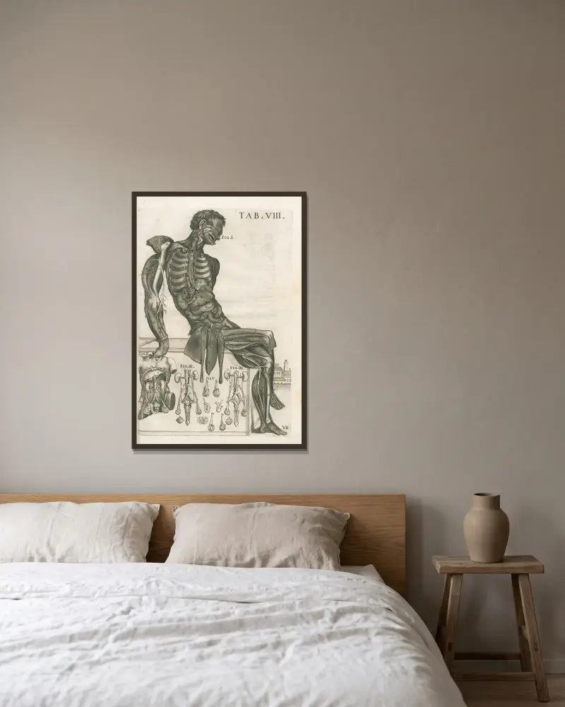 Anatomiska tavlor av den berömde målaren Pietro Berrettini från Cortona, plansch 8 av Pietro da Cortona inramad på en vägg