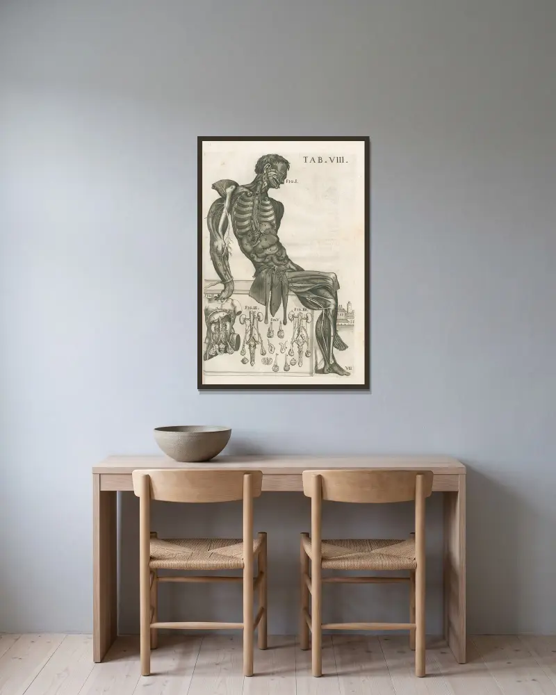 Anatomiska tavlor av den berömde målaren Pietro Berrettini från Cortona, plansch 8 av Pietro da Cortona inramad på en vägg