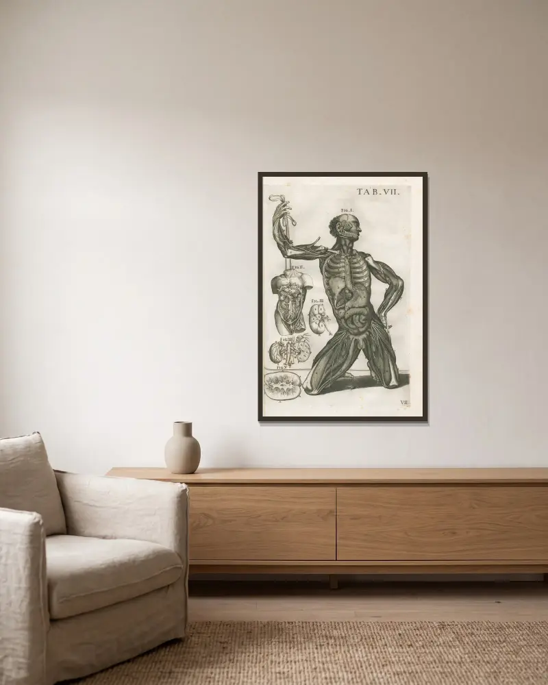 Anatomiska tavlor av den berömde målaren Pietro Berrettini från Cortona, plansch 7 av Pietro da Cortona inramad på en vägg