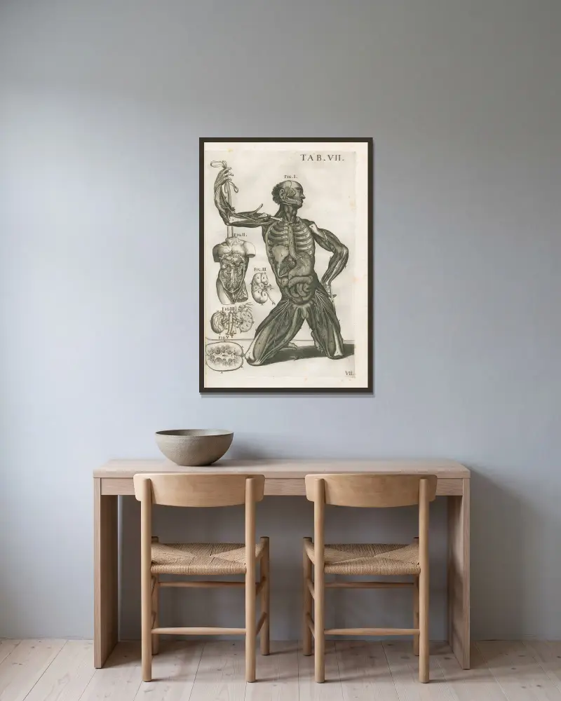 Anatomiska tavlor av den berömde målaren Pietro Berrettini från Cortona, plansch 7 av Pietro da Cortona inramad på en vägg
