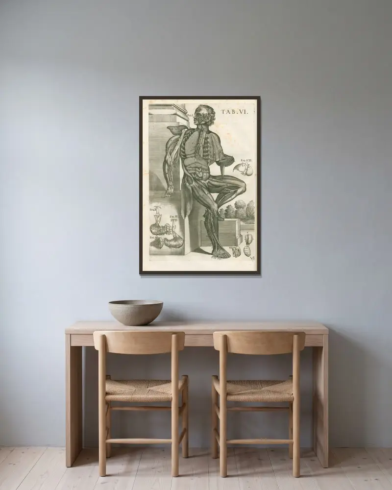 Anatomiska tavlor av den berömde målaren Pietro Berrettini från Cortona, plansch 6 av Pietro da Cortona inramad på en vägg