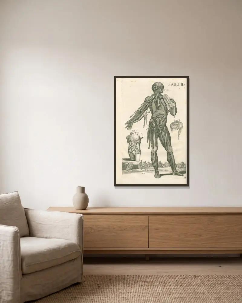 Anatomiska tavlor av den berömde målaren Pietro Berrettini från Cortona, plansch 4 av Pietro da Cortona inramad på en vägg