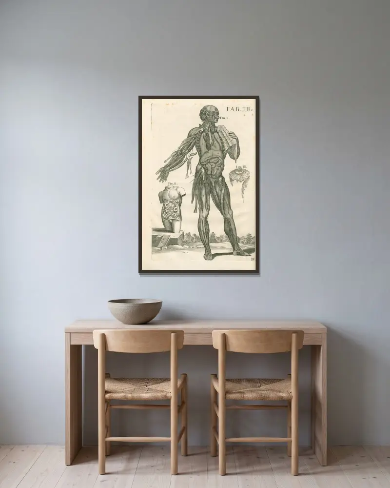 Anatomiska tavlor av den berömde målaren Pietro Berrettini från Cortona, plansch 4 av Pietro da Cortona inramad på en vägg