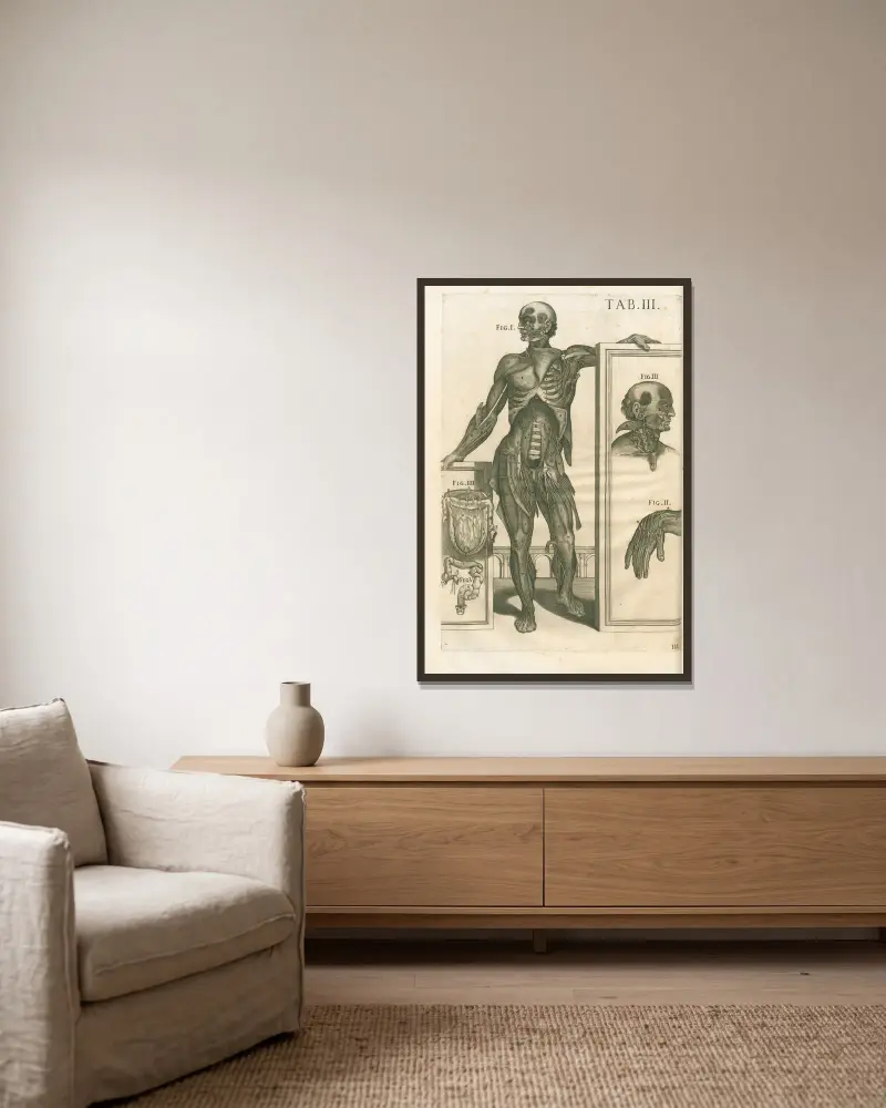 Anatomische Tafeln des berühmten Malers Pietro Berrettini aus Cortona, Tafel 3 von Pietro da Cortona gerahmt an einer Wand