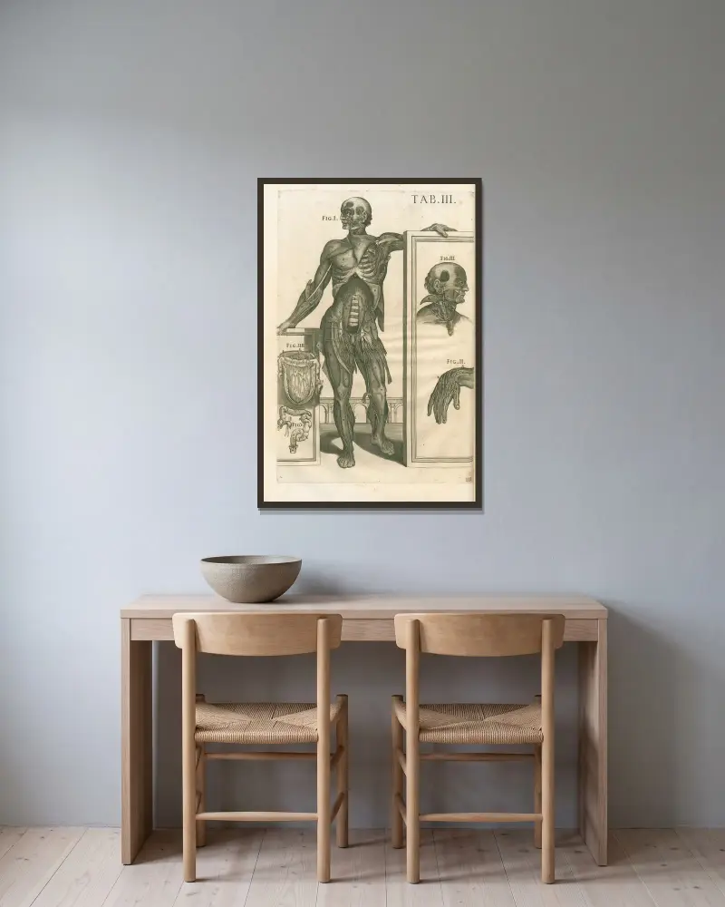 Anatomische Tafeln des berühmten Malers Pietro Berrettini aus Cortona, Tafel 3 von Pietro da Cortona gerahmt an einer Wand