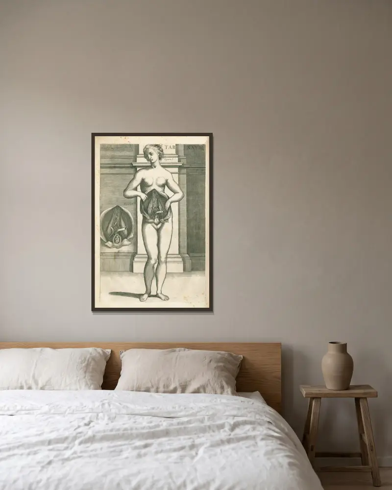 Anatomiska tavlor av den berömde målaren Pietro Berrettini från Cortona, plansch 27 av Pietro da Cortona inramad på en vägg