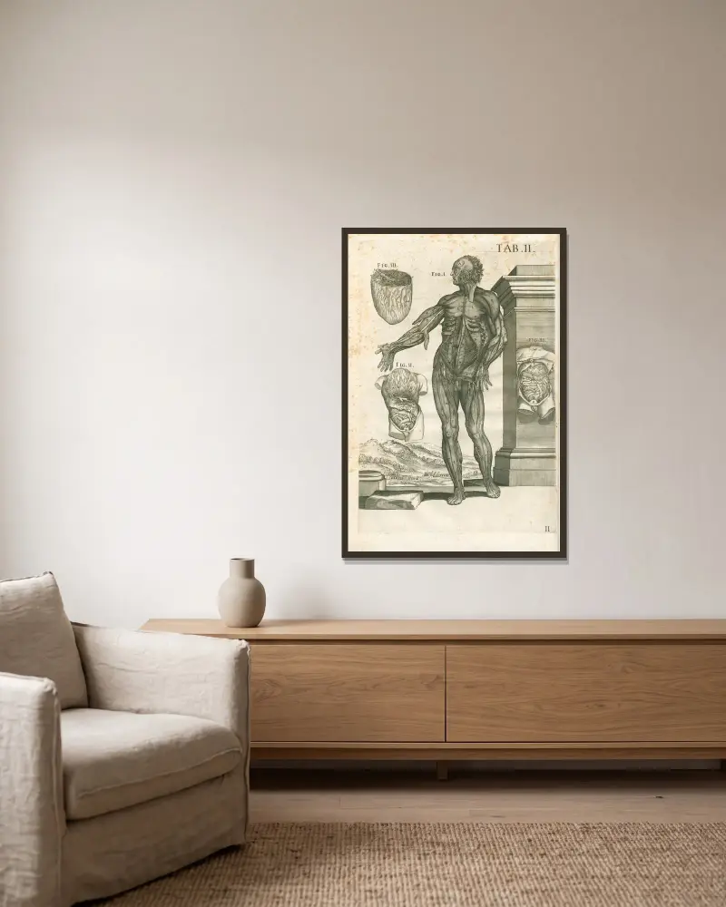 Anatomiska tavlor av den berömde målaren Pietro Berrettini från Cortona, plansch 2 av Pietro da Cortona inramad på en vägg
