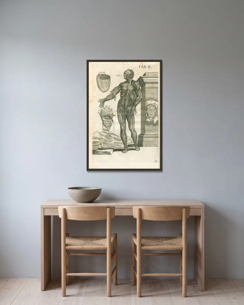 Anatomiska tavlor av den berömde målaren Pietro Berrettini från Cortona, plansch 2 av Pietro da Cortona inramad på en vägg