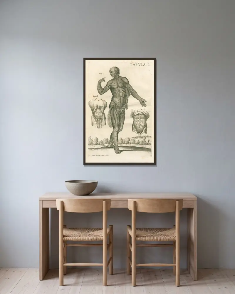 Anatomiska tavlor av den berömde målaren Pietro Berrettini från Cortona, plansch 1 av Pietro da Cortona inramad på en vägg