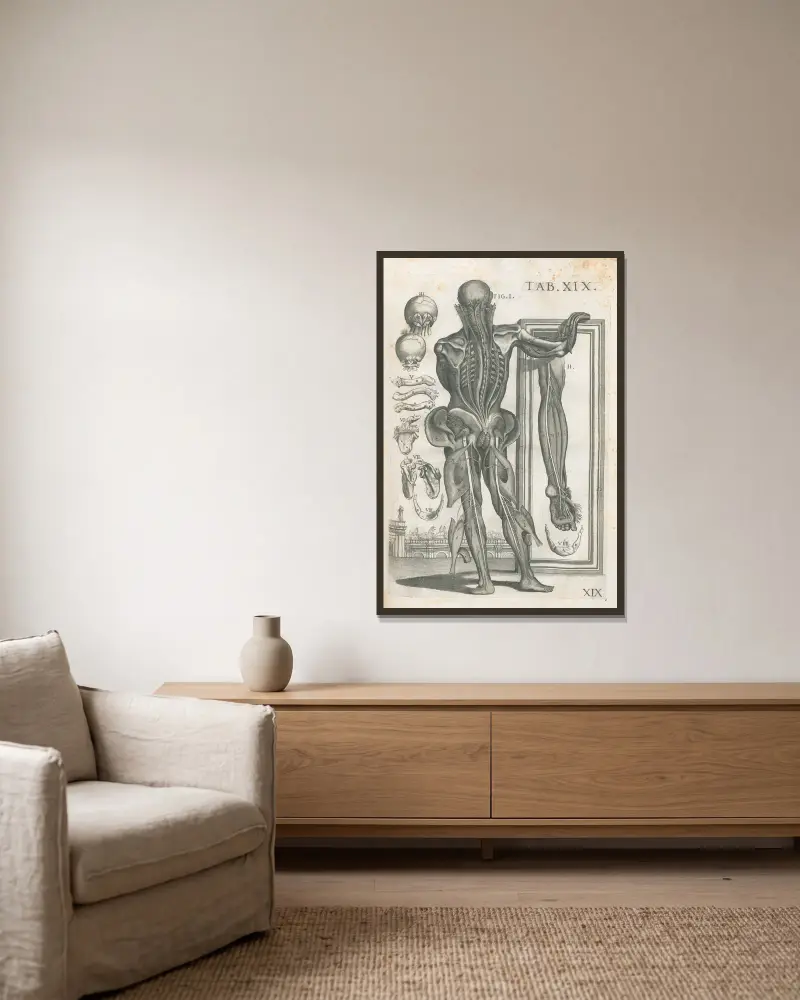 Anatomiska tavlor av den berömde målaren Pietro Berrettini från Cortona, plansch 19 av Pietro da Cortona inramad på en vägg