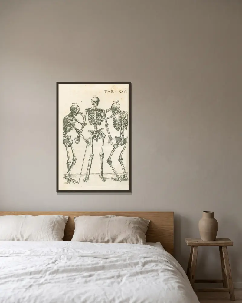 Anatomische Tafeln des berühmten Malers Pietro Berrettini aus Cortona, Tafel 26 von Pietro da Cortona gerahmt an einer Wand