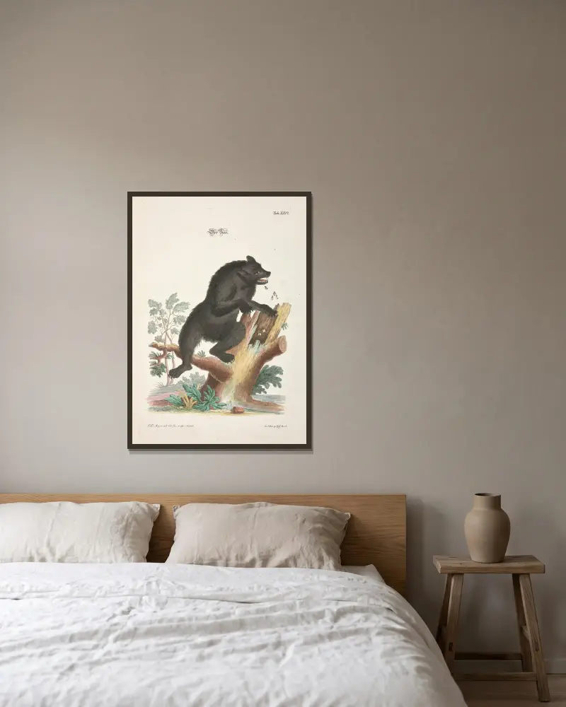 Nöjsamt och nyttigt tidsfördriv, plansch 26 av Johann Daniel Meyer inramad på en vägg