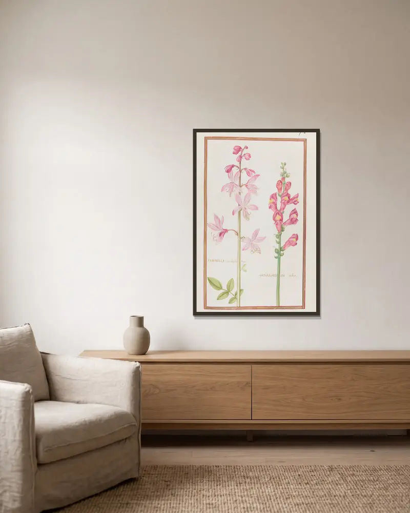 Fraxinella seu diptamus ; antirrhinum rubro av Daniel Rabel inramad på en vägg