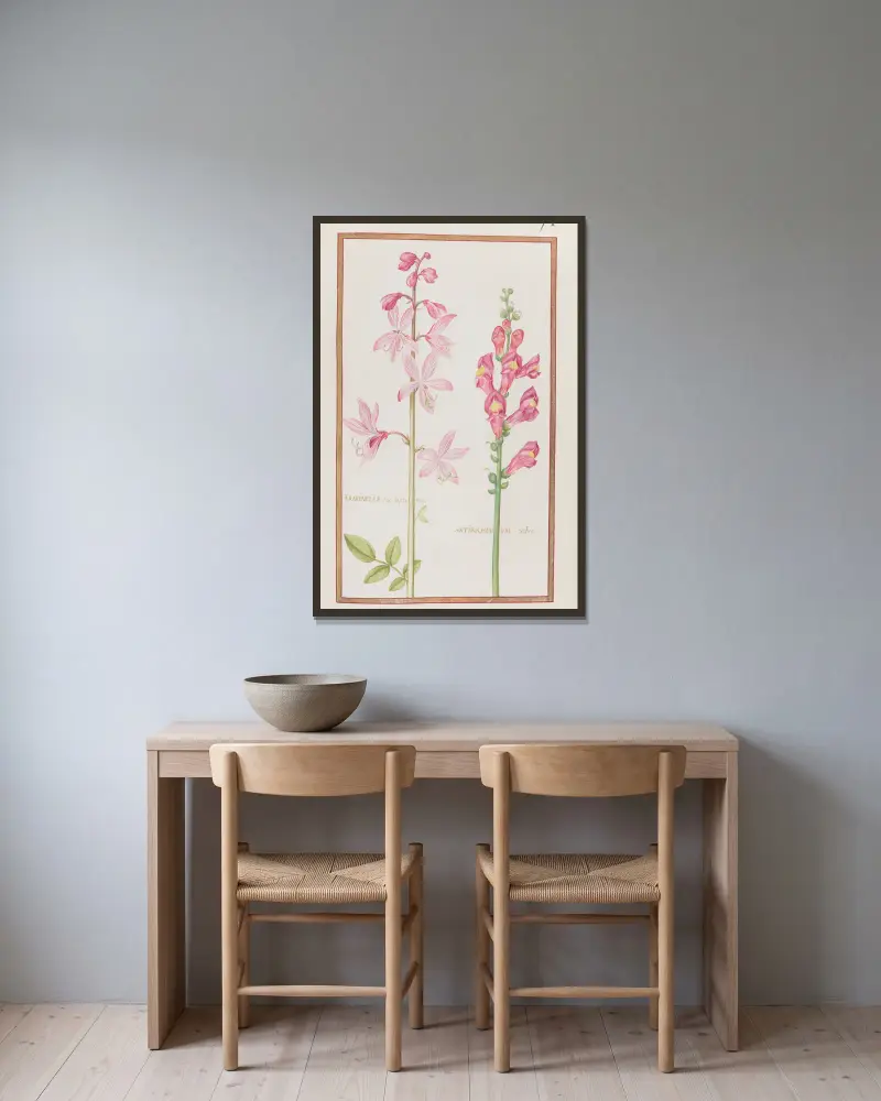 Fraxinella seu diptamus ; antirrhinum rubro av Daniel Rabel inramad på en vägg
