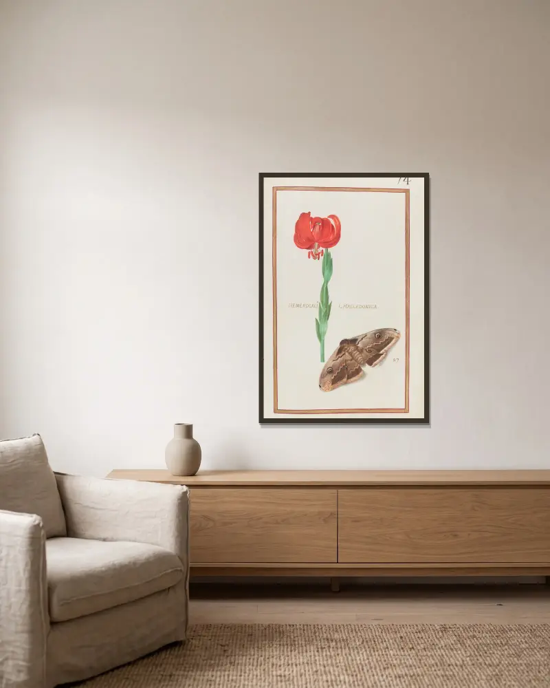 Hemerocallis chalcedonica von Daniel Rabel gerahmt an einer Wand