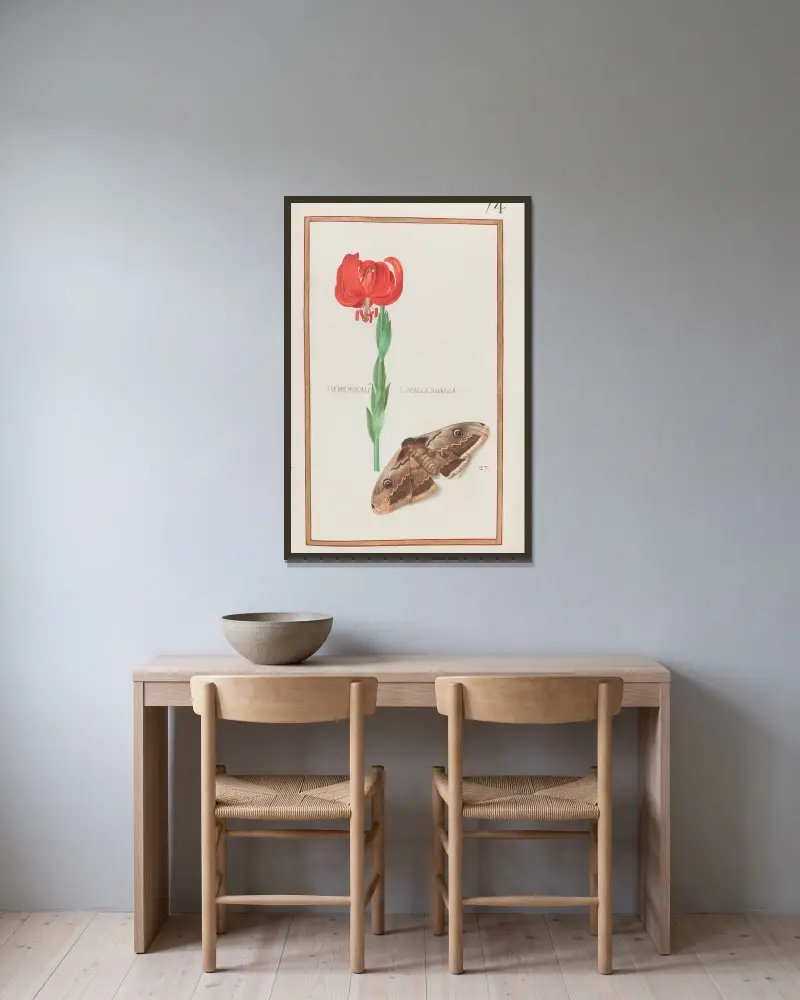 Hemerocallis chalcedonica von Daniel Rabel gerahmt an einer Wand