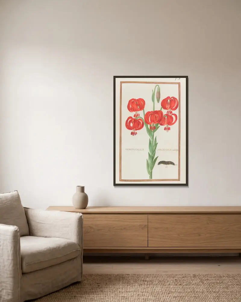 Hemerocallis chalcedonica umbellifera av Daniel Rabel inramad på en vägg