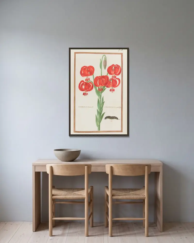Hemerocallis chalcedonica umbellifera av Daniel Rabel inramad på en vägg