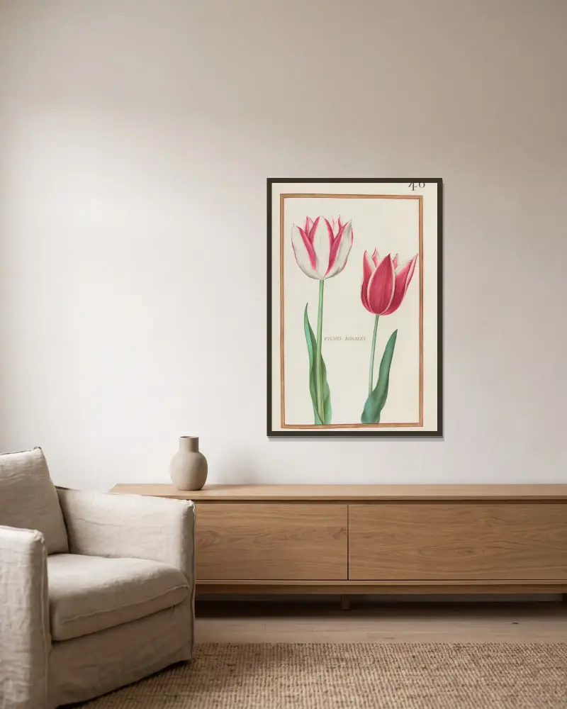 Gestrichelte Tulpen von Daniel Rabel gerahmt an einer Wand