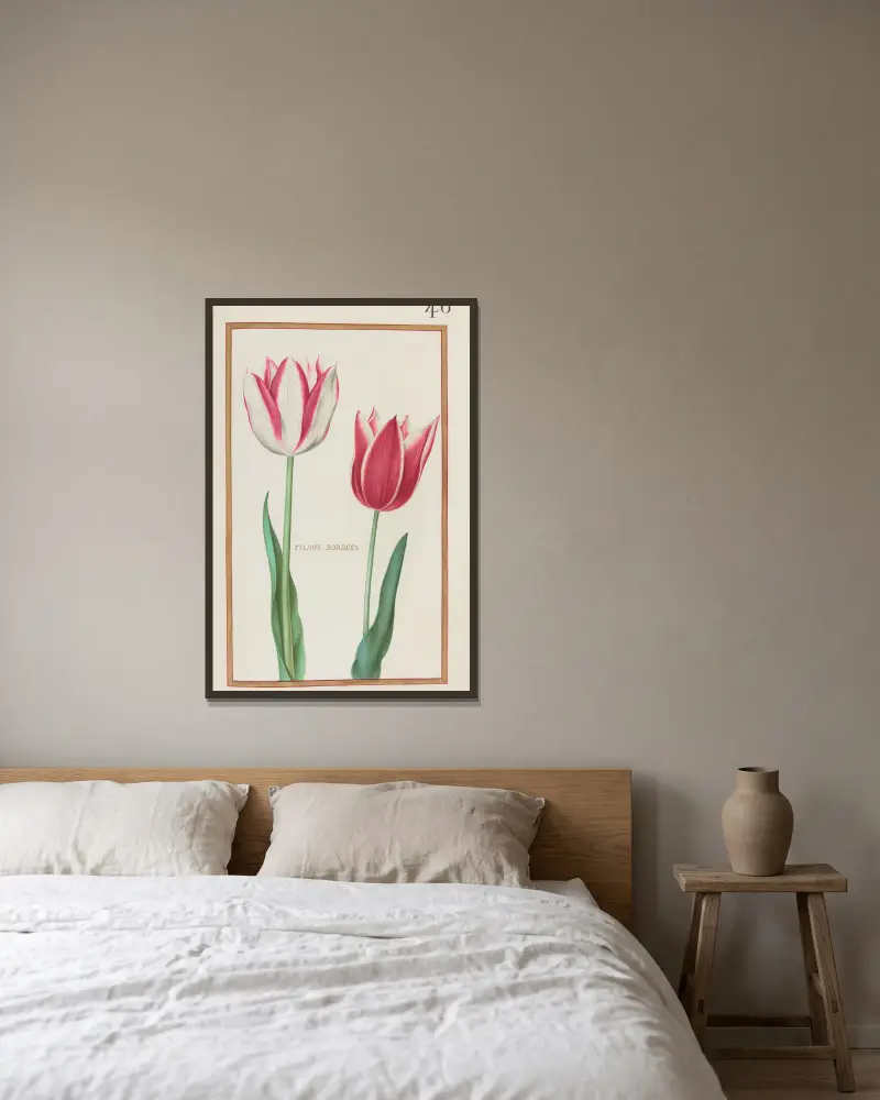 Gestrichelte Tulpen von Daniel Rabel gerahmt an einer Wand