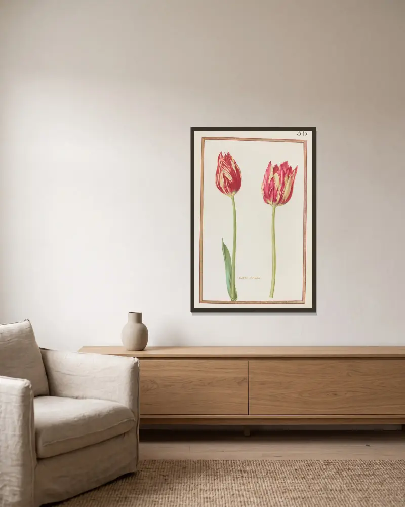 Tulipes variées av Daniel Rabel inramad på en vägg