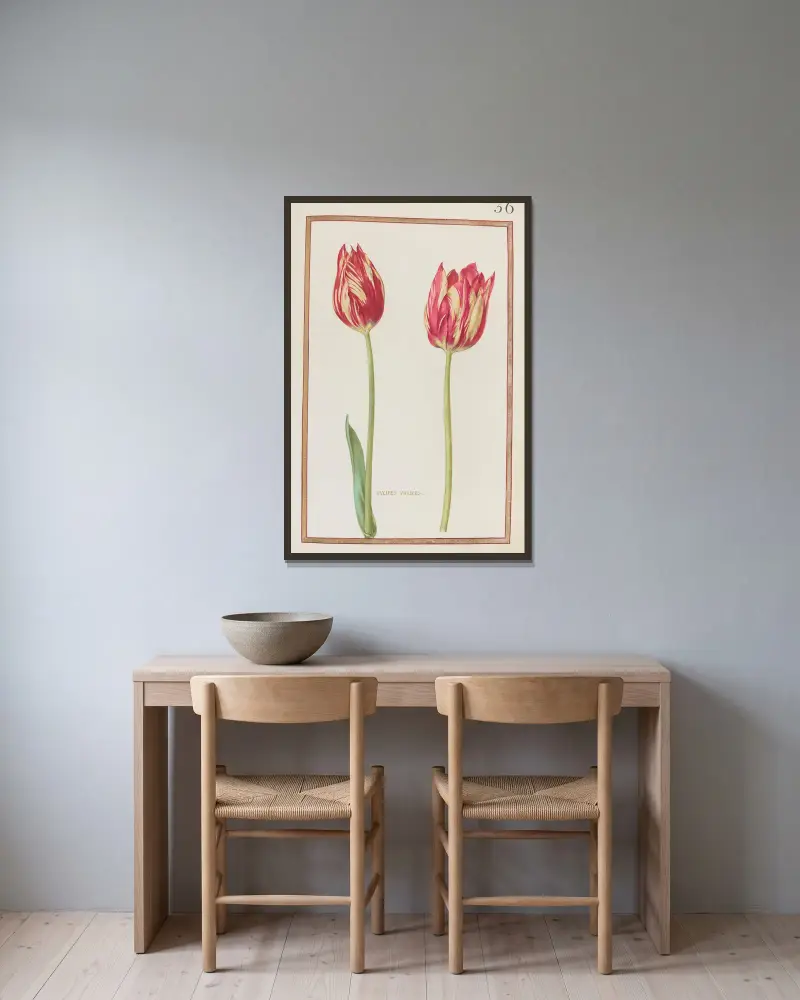 Tulipes variées av Daniel Rabel inramad på en vägg