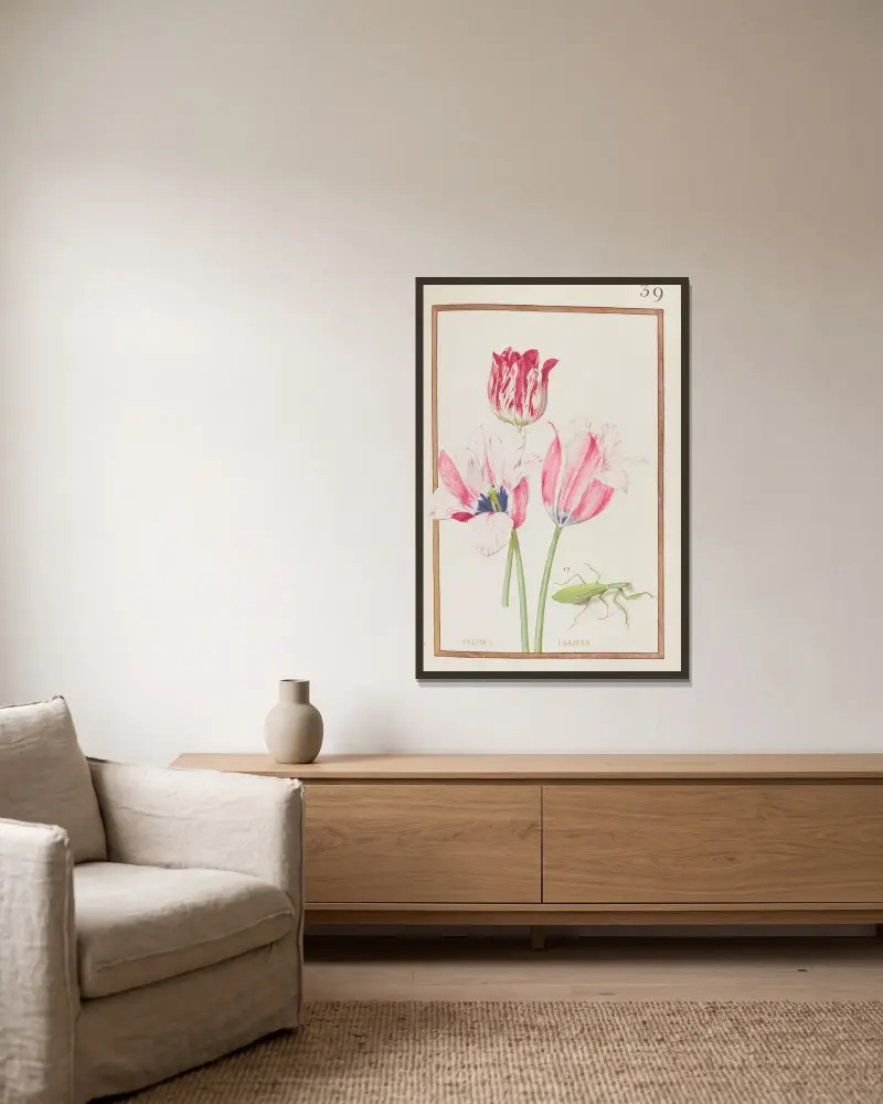 Verschiedene Tulpen, 1624 – Nr. 2 von Daniel Rabel gerahmt an einer Wand