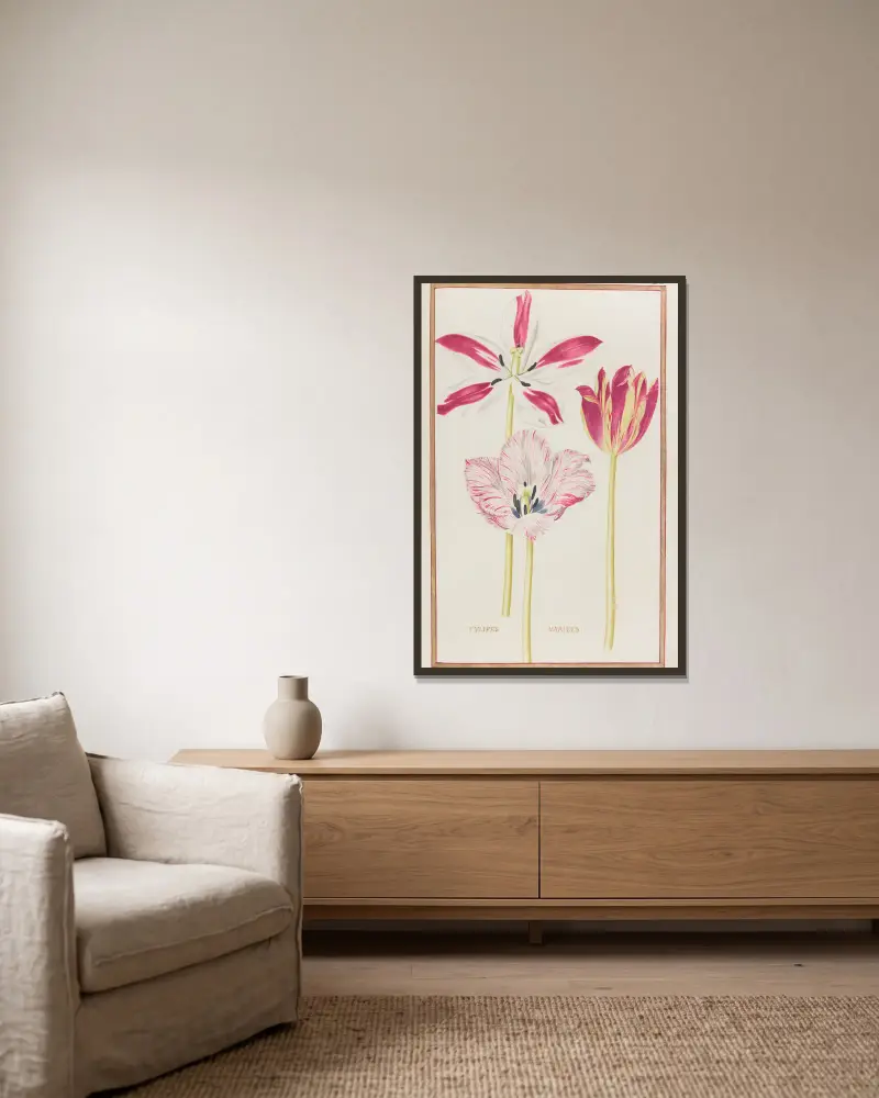 Tulipes variees, 1624 – nr 1 av Daniel Rabel inramad på en vägg