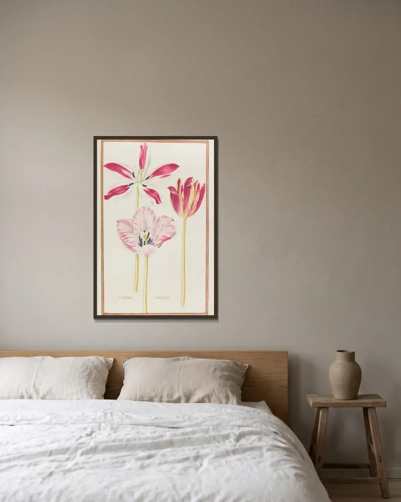 Tulipes variees, 1624 – nr 1 av Daniel Rabel inramad på en vägg