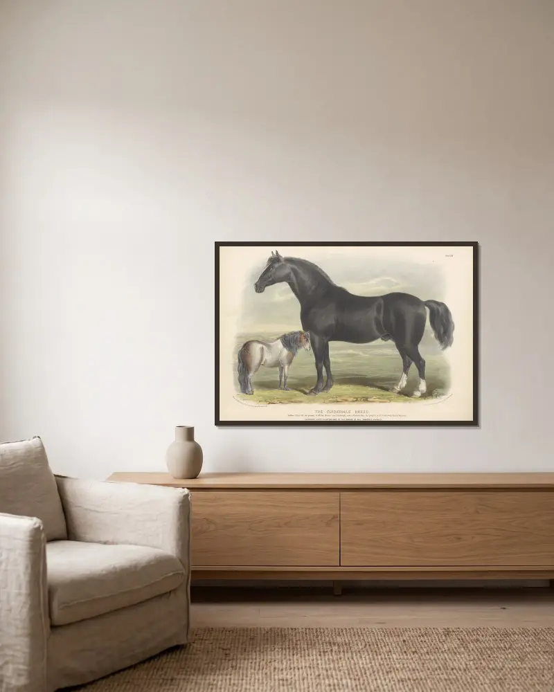 The Clydesdale Breed av David Low inramad på en vägg