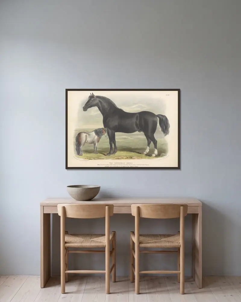 The Clydesdale Breed av David Low inramad på en vägg