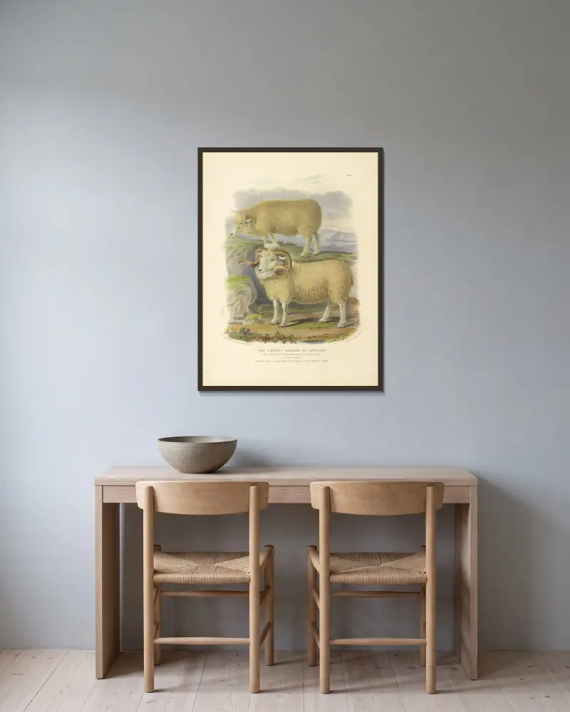 Englands skogsraser av David Low inramad på en vägg