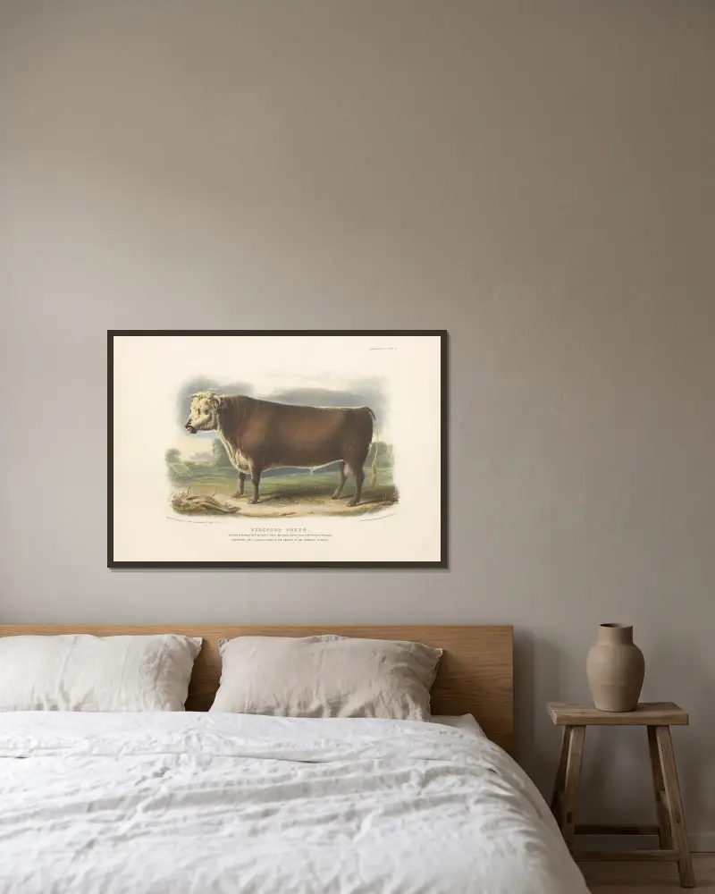Die Hereford-Rasse von David Low gerahmt an einer Wand