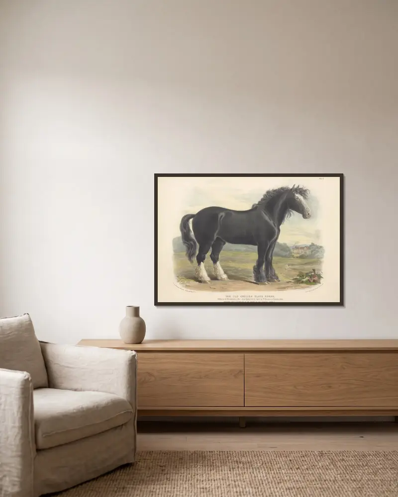 The Old English Black Horse av David Low inramad på en vägg