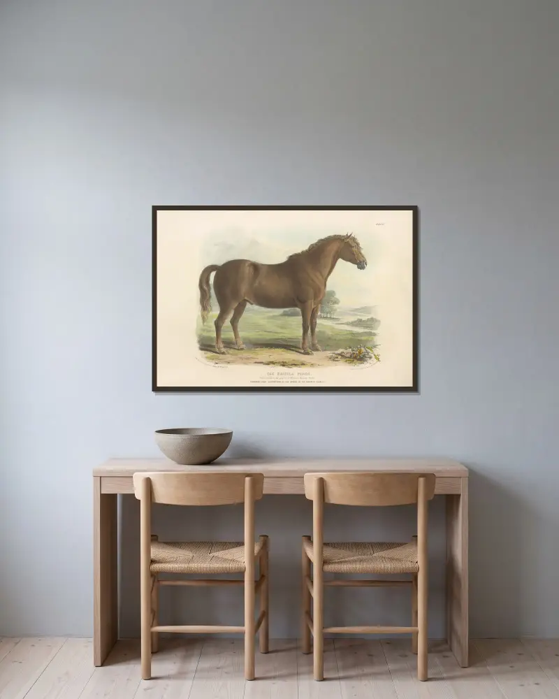 The Suffolk Punch av David Low inramad på en vägg