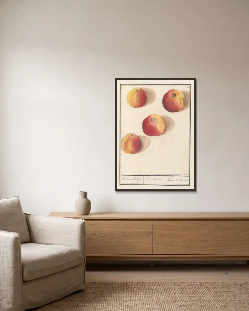 Apfel (Malus domestica) Böhmischer Apfel von Anselmus Boëtius de Boodt gerahmt an einer Wand