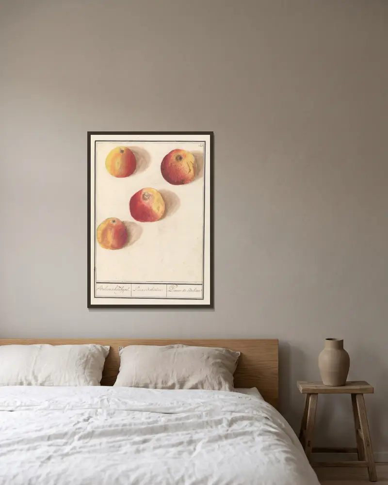 Apfel (Malus domestica) Böhmischer Apfel von Anselmus Boëtius de Boodt gerahmt an einer Wand