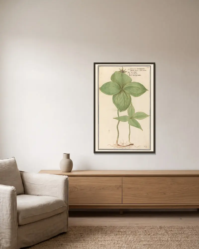 Einbeere (Paris quadrifolia) – Wolfsbeere, Solanum tetraphyllon, Herba Paris, Uva versa, Fuchsbeere von Anselmus Boëtius de Boodt gerahmt an einer Wand