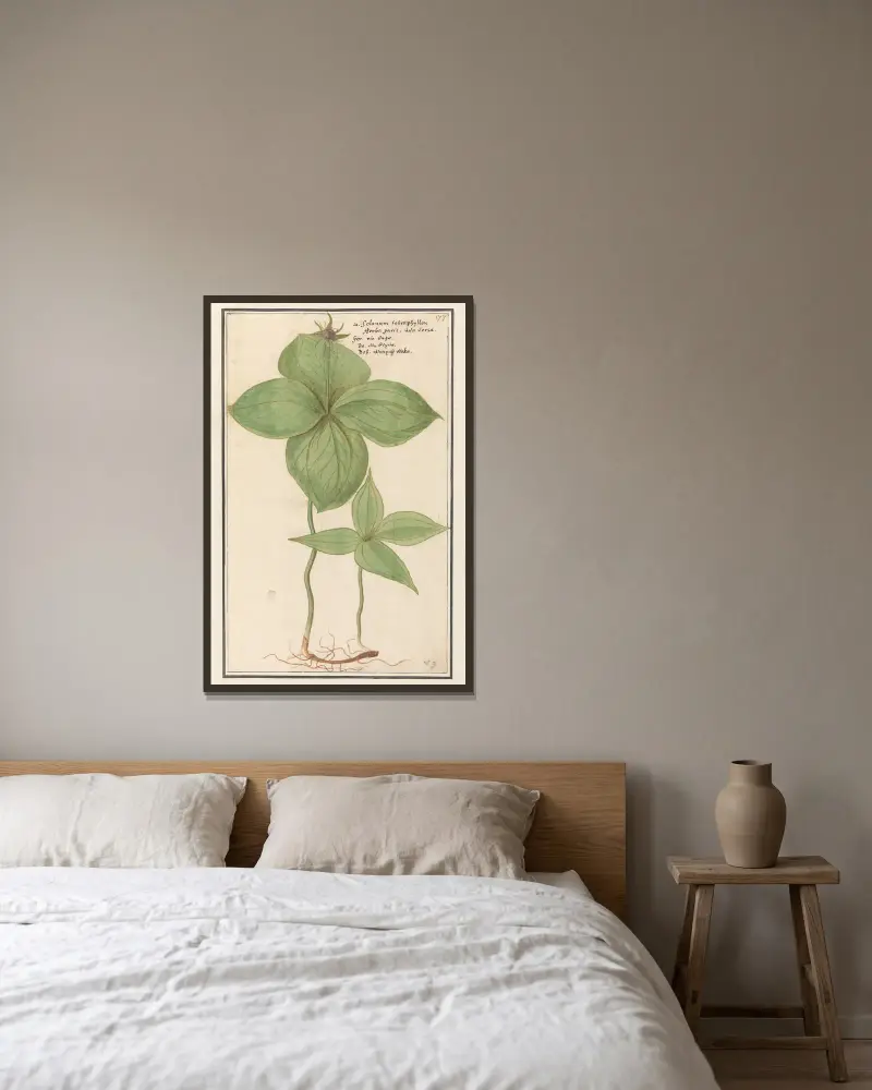 Einbeere (Paris quadrifolia) – Wolfsbeere, Solanum tetraphyllon, Herba Paris, Uva versa, Fuchsbeere von Anselmus Boëtius de Boodt gerahmt an einer Wand