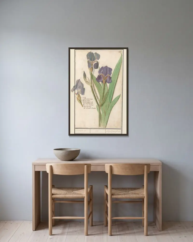 Deutsche Schwertlilie (Iris germanica) – Stinkende Iris von Anselmus Boëtius de Boodt gerahmt an einer Wand